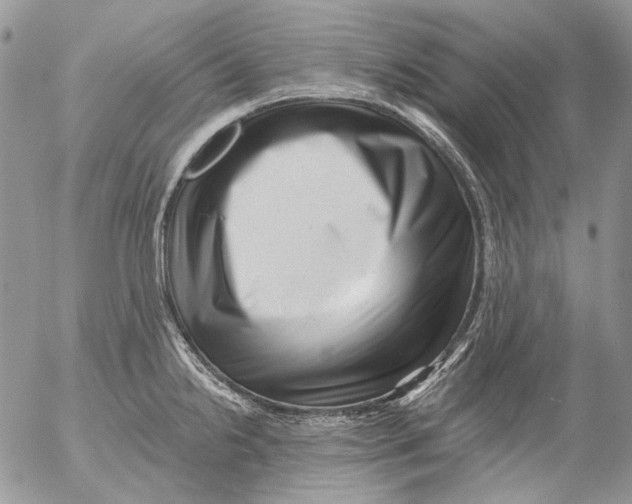 X0000053141238200508012235