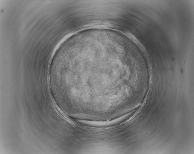 X0000053141240200508012235