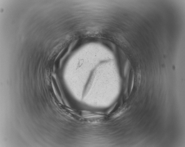 X0000053141250200508012235