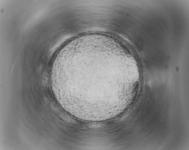 X0000053141266200508012234