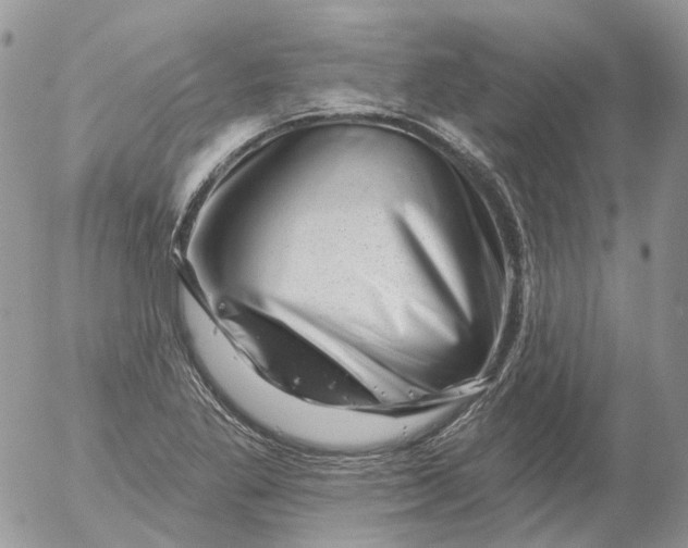 X0000053141269200508012234