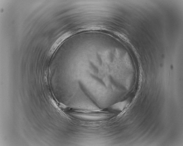 X0000053141273200508012234