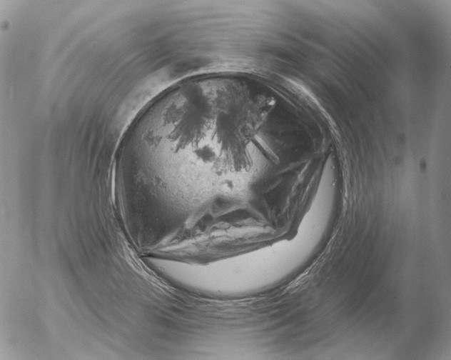 X0000053141276200508012234