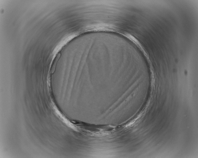 X0000053141285200508012234