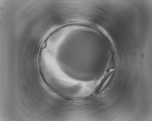 X0000053141291200508012234