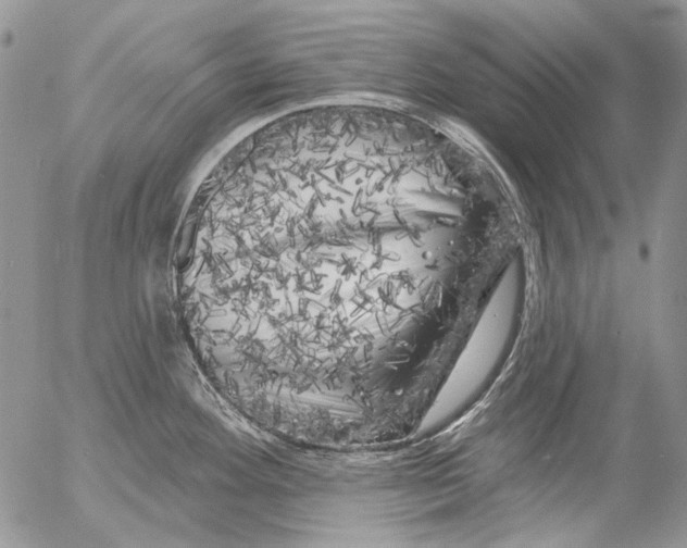 X0000053141292200508012234