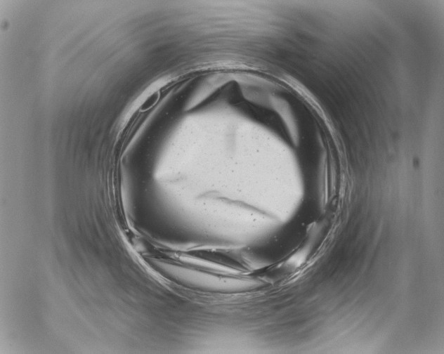X0000053141293200508012234