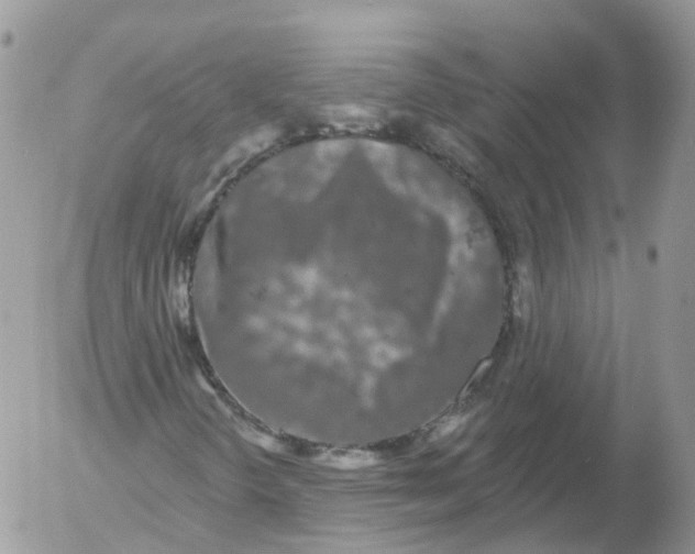 X0000053141298200508012233