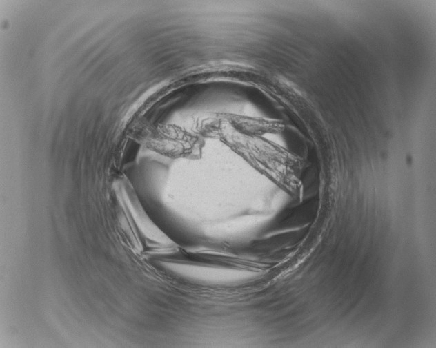 X0000053141313200508012233