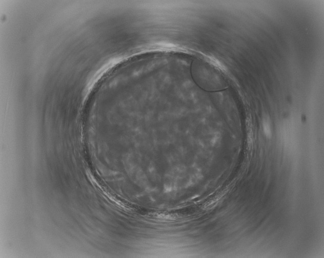 X0000053141318200508012233
