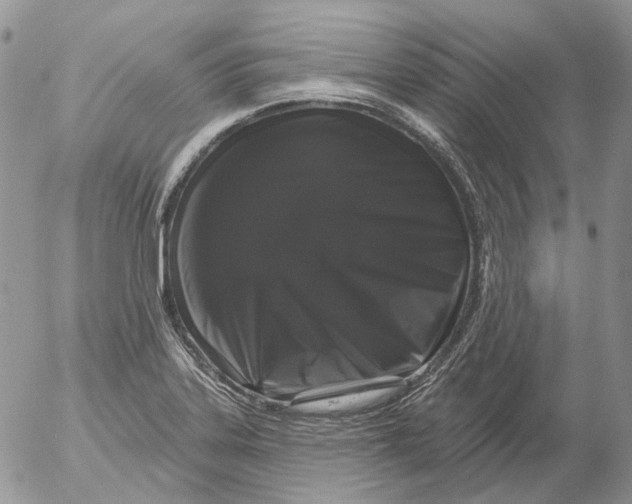 X0000053141323200508012233