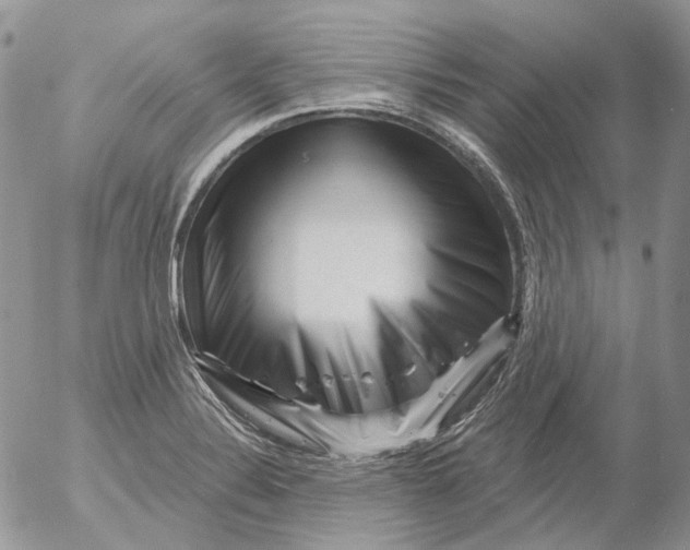 X0000053141324200508012233