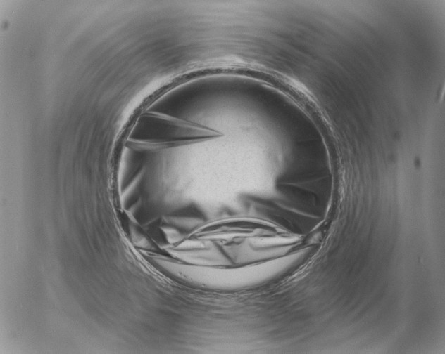 X0000053141326200508012233