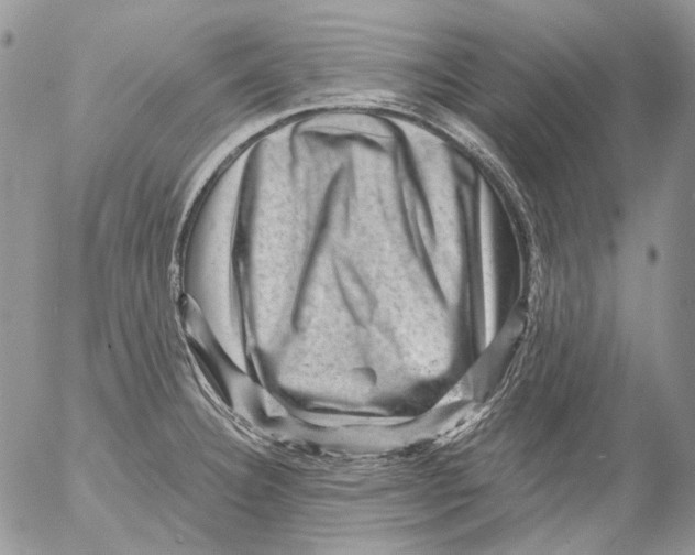 X0000053141332200508012234