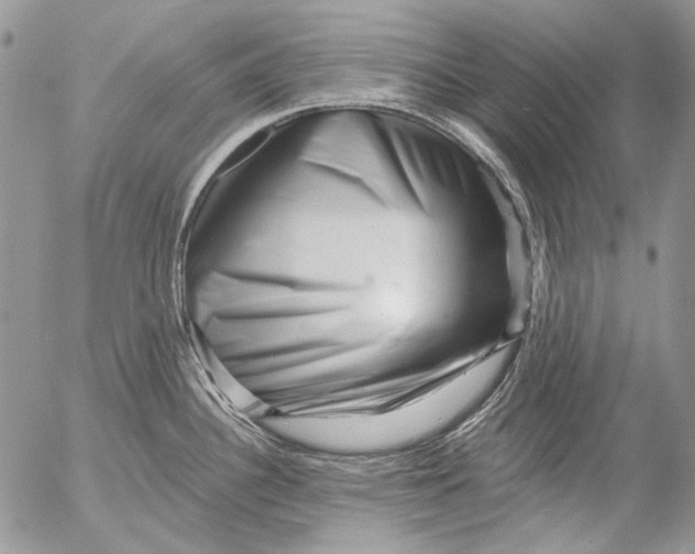 X0000053141340200508012234