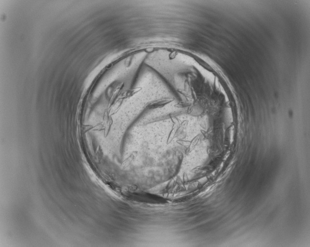 X0000053141341200508012234