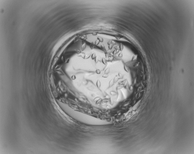 X0000053141344200508012234