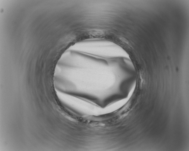 X0000053141345200508012233