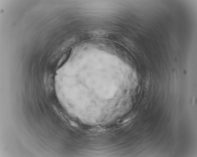 X0000053141346200508012233