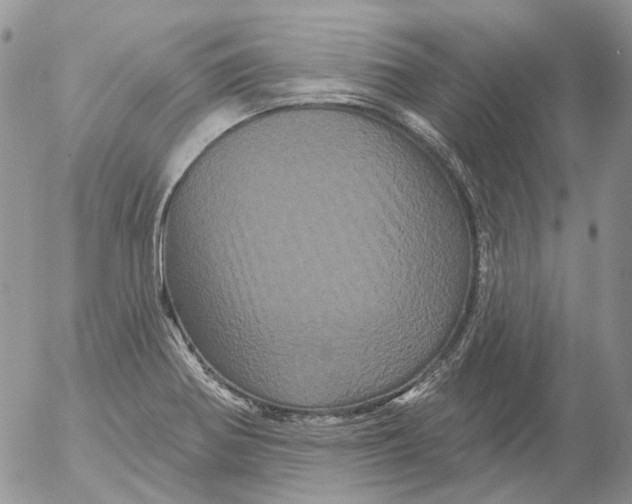 X0000053141370200508012232