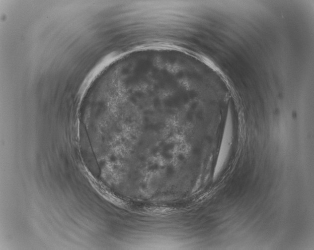 X0000053141372200508012232