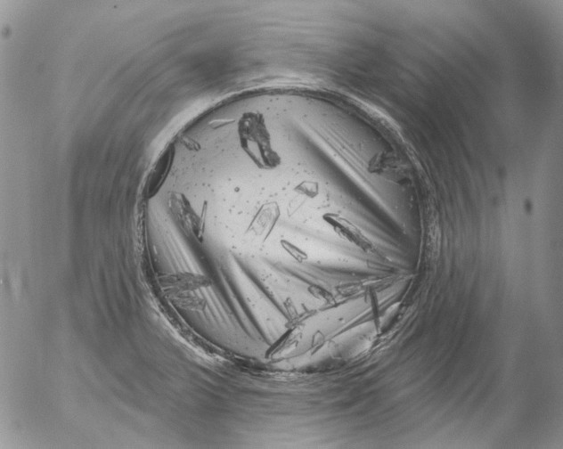 X0000053141375200508012232