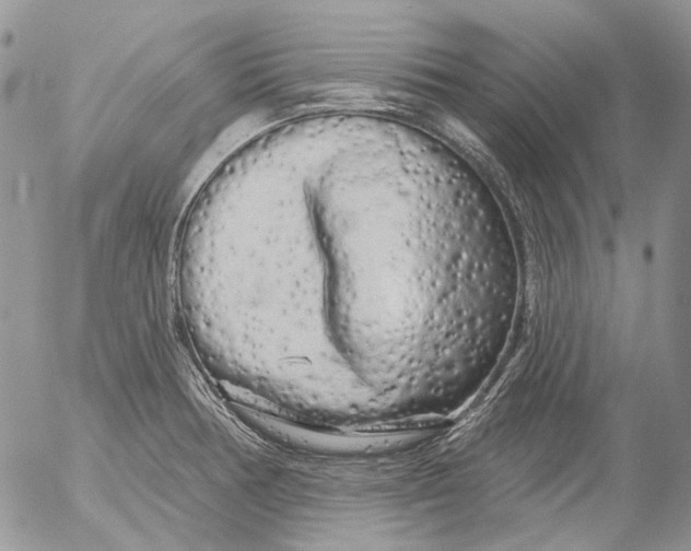 X0000053141378200508012232