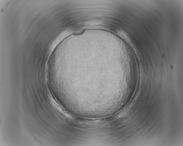 X0000053141386200508012232