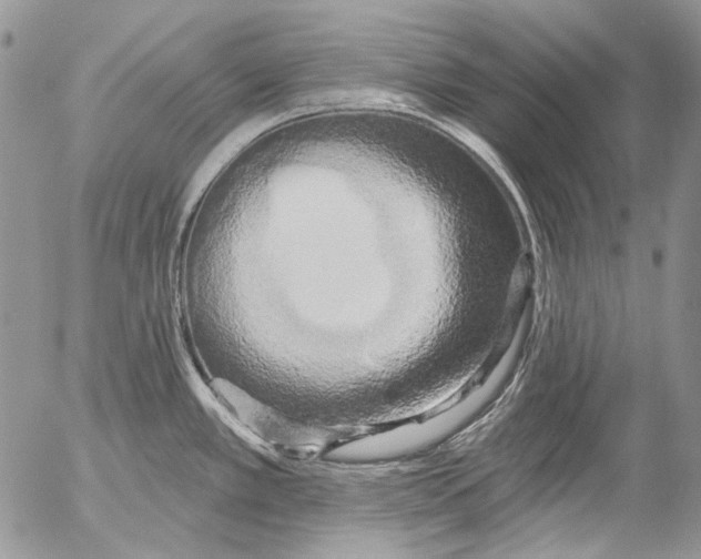 X0000053141389200508012232
