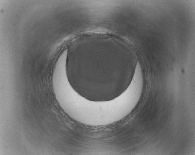 X0000053141398200508012231
