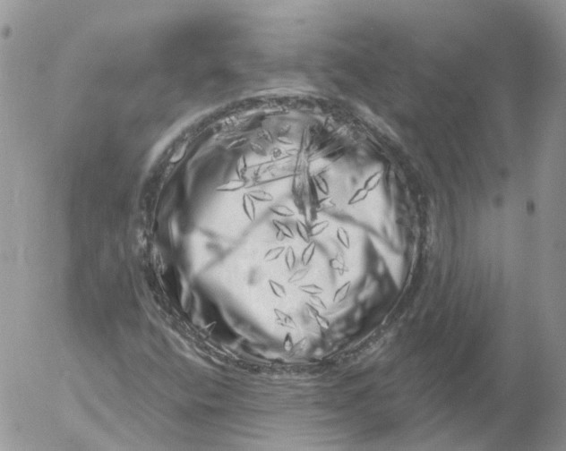 X0000053141400200508012231