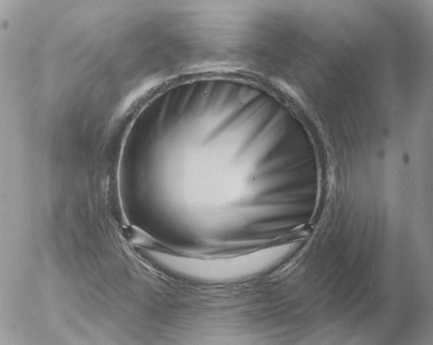 X0000053141406200508012232