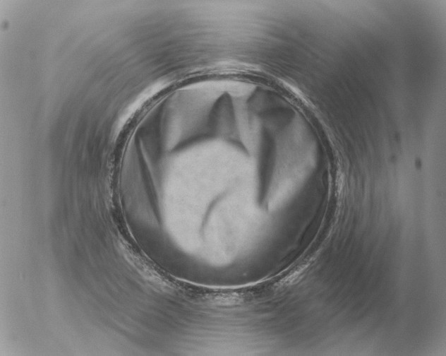 X0000053141410200508012232
