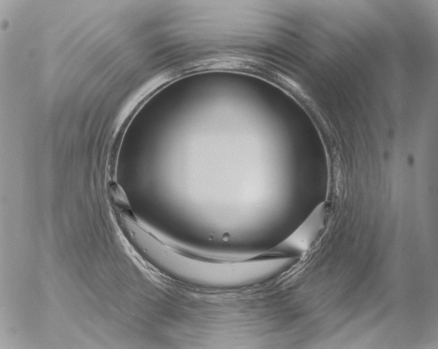 X0000053141426200508012232