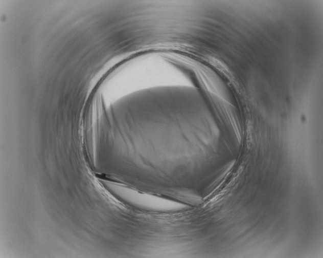 X0000053141428200508012232