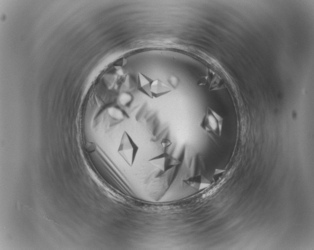 X0000053141432200508012232