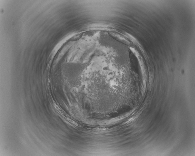 X0000053141435200508012232