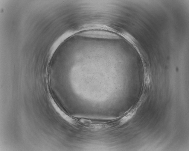X0000053141438200508012232