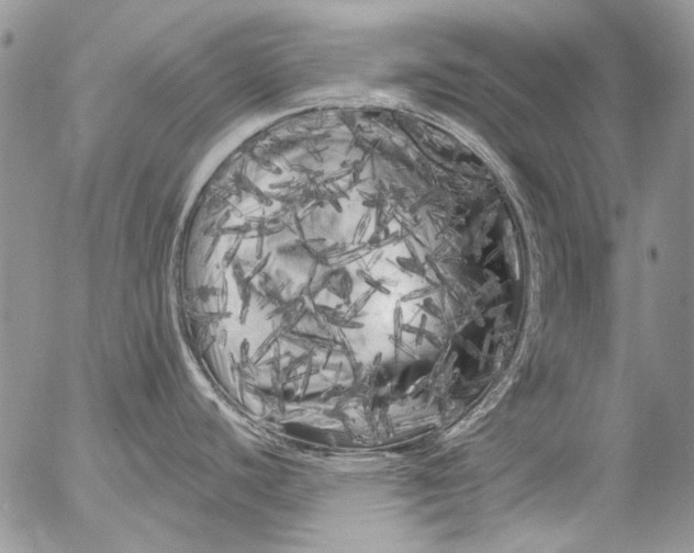 X0000053141440200508012232