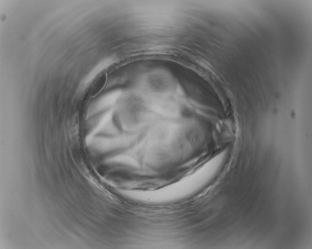 X0000053141450200508012231
