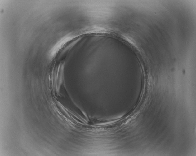 X0000053141455200508012231