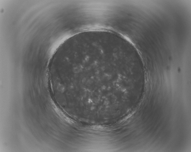 X0000053141463200508012231
