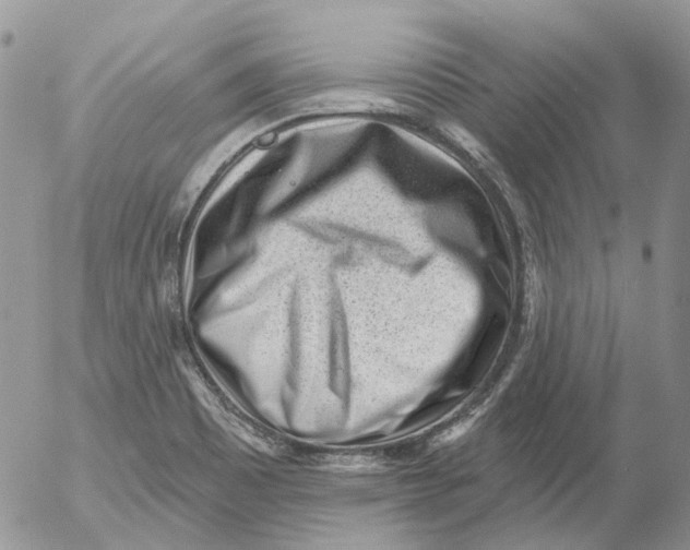 X0000053141465200508012231