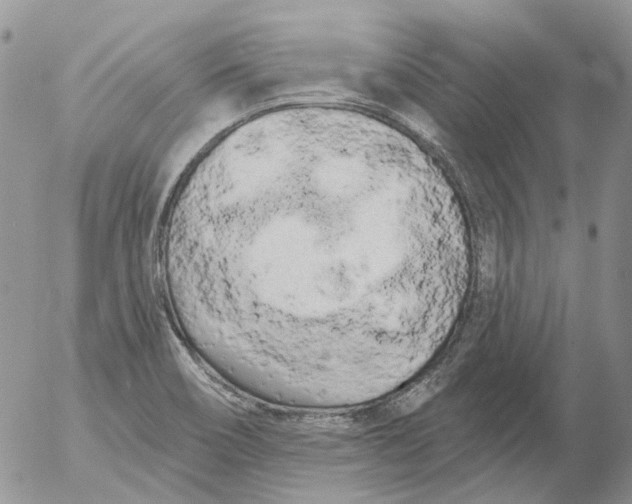 X0000053141466200508012231