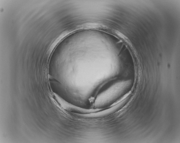 X0000053141473200508012231