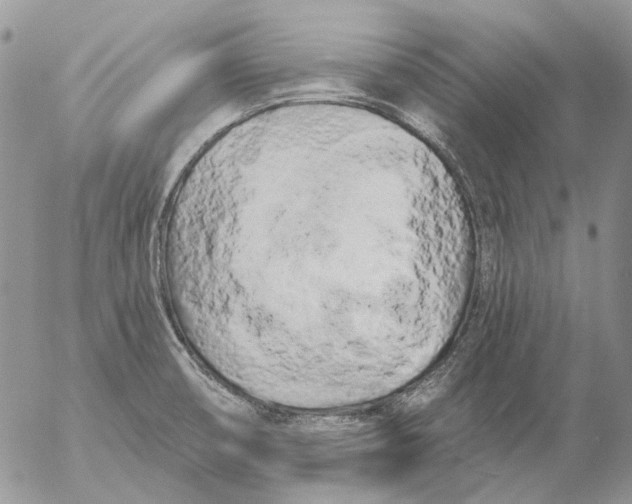 X0000053141474200508012231