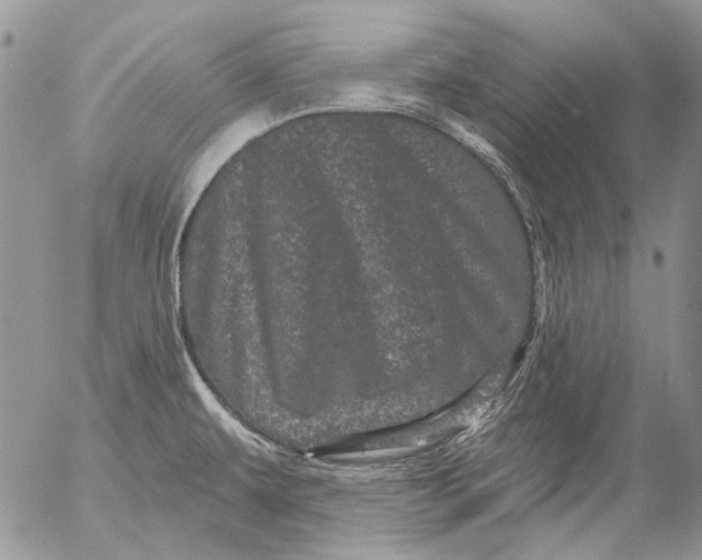 X0000053141479200508012231