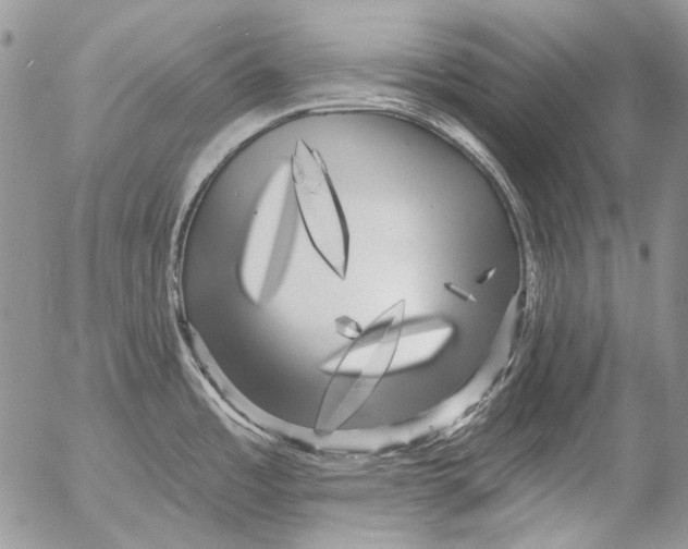 X0000053141485200508012231
