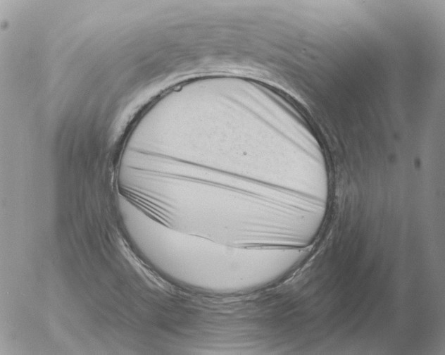 X0000053141507200508012230