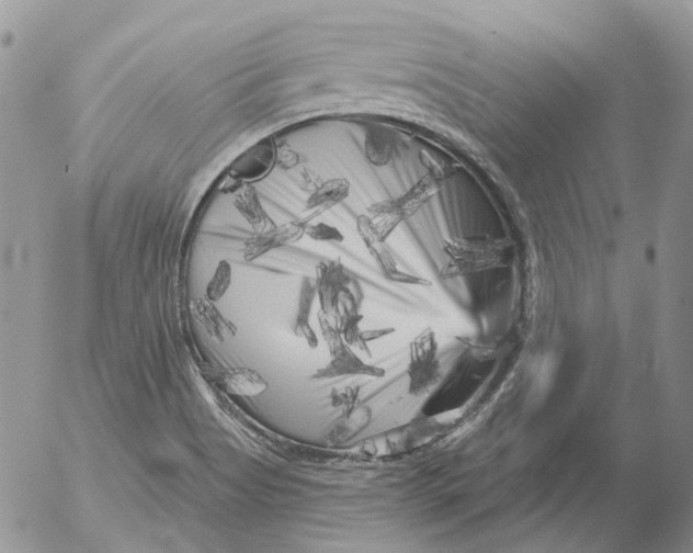 X0000053141513200508012230